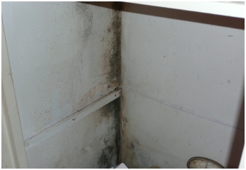 Mould growth in poorly ventilated and cold cupboard 